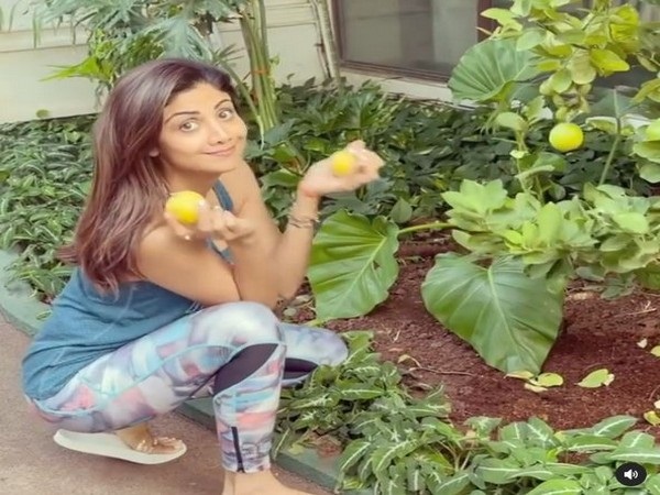 Shilpa Shetty shares 'food for thought' as she picks out lemons from kitchen garden